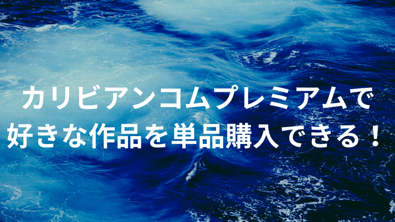 カリビアンコムプレミアムで好きな作品を単品購入できる！