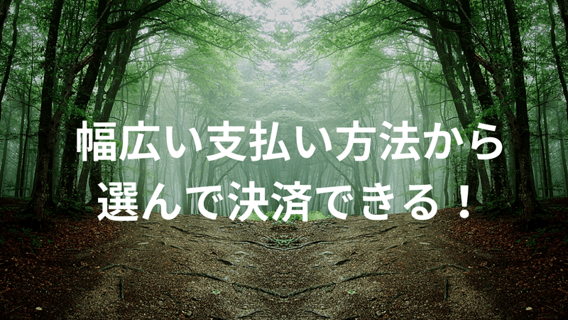 幅広い支払い方法から選んで決済できる！